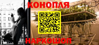 ПСИЛОЦИБИНОВЫЕ ГРИБЫ Ирбит