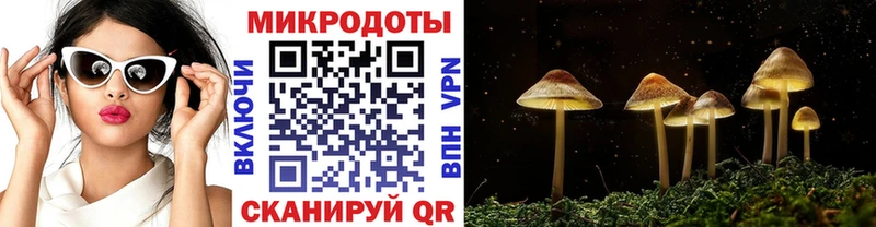 где купить наркотик Лесной shop Telegram Галлюциногенные грибы Psilocybe блэк спрут как войти