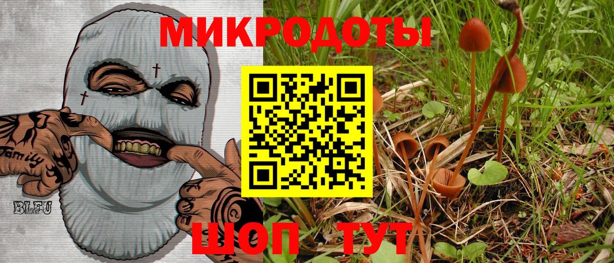 Псилоцибиновые грибы прущие грибы Лесной