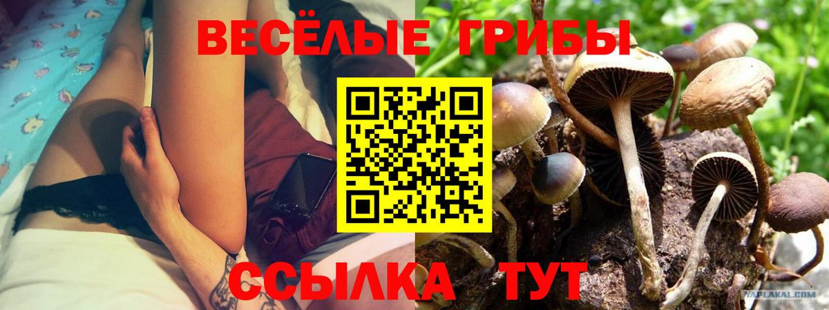 Галлюциногенные грибы Magic Shrooms  Вход с VPN  Лесной 